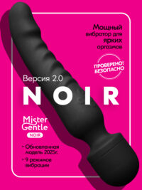 Mister Gentle Noir