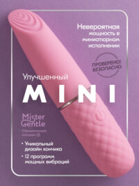 Mini1